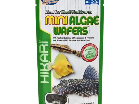 Hikari USA Algae Wafers Sinking Wafer Fish Food 1ea 3 oz, Mini Online