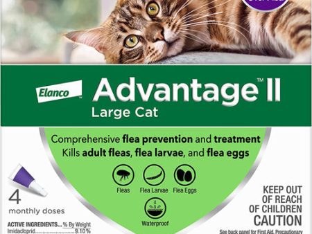 Advantage II Cat Large Purple 4-Pack Sale