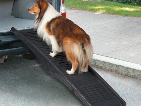 CR Tri-Fold Vehicle Pet Ramp Blk Discount