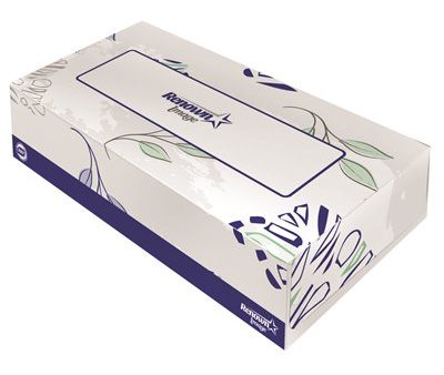 Renown Flat Box Facial Tissue 2 Ply Online Sale