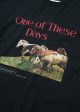 Wild Horses T-Shirt | Washed Black Online Sale