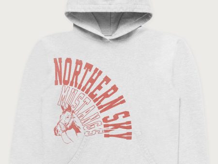 Mustangs Hooded Sweatshirt | Heather Online