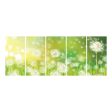 Bright Dandelion I-Frame Backdrop For Discount