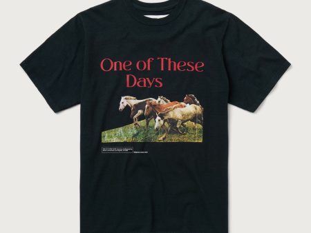 Wild Horses T-Shirt | Washed Black Online Sale