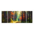 Autumn Forest I-Frame Backdrop For Sale