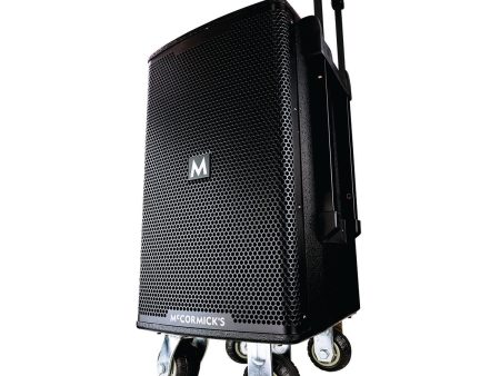 Fortissimo Portable PA System For Cheap