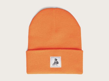 Horse Label Cuff Beanie | Hunter Orange For Sale