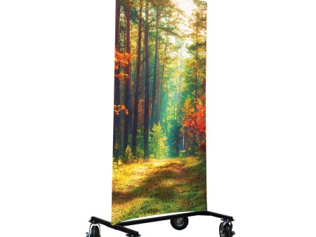 Autumn Forest I-Frame Backdrop For Sale