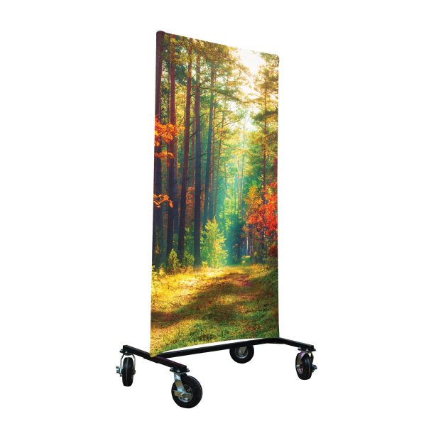 Autumn Forest I-Frame Backdrop For Sale