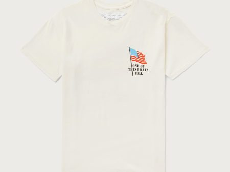 American Flag Cowboy Tee | Bone Online